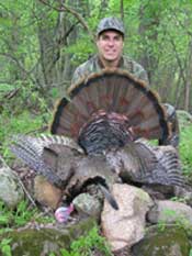 Taken May 19th, 2002 near Rio, WI
25.5 lbs
10.5" beard
1 1/8" spurs
Mark Fiene