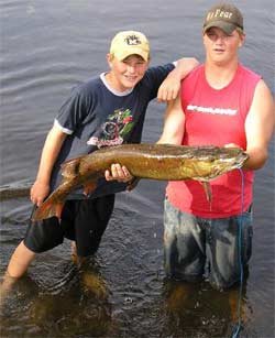 Caught and released by Dylon Dikeman,13 and assisted in landing by brother Derek, 15 of Glenwood City WI on July 31 ,2005 on the Namekagon River using ultra light gear,The muskie measured 41 3/4 inches in length and had a girth of 18 1/2 inches. A short time before the catch, the same fish struck and for a while held on to a 10 inch small mouth that Derek was landing.